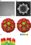 Fig. 2.