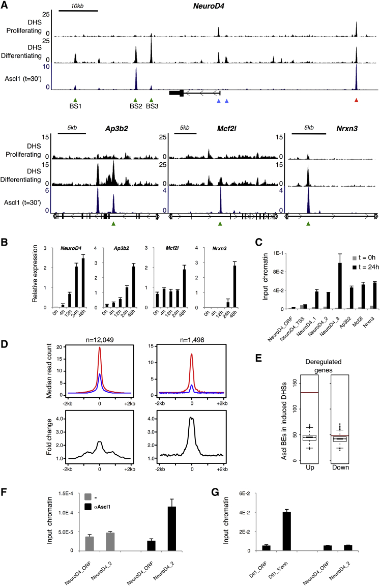 Figure 6