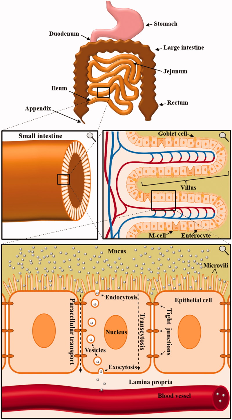 Figure 1.