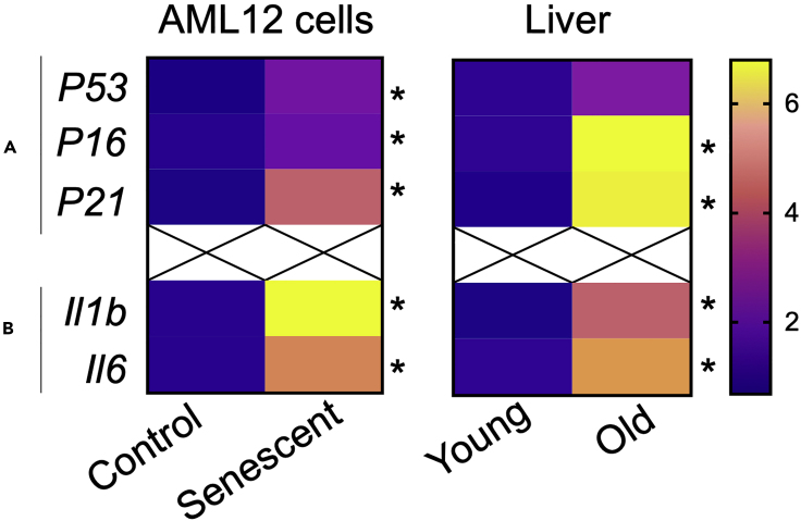 Figure 6