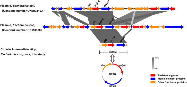 Figure 2