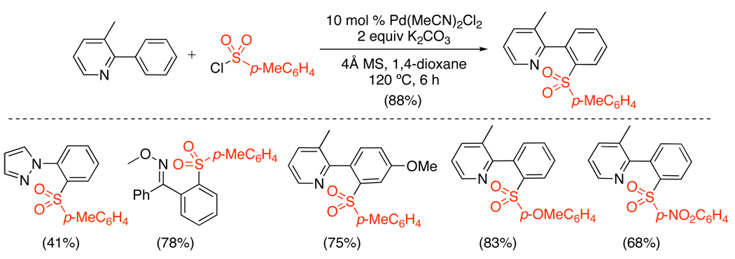 Scheme 13