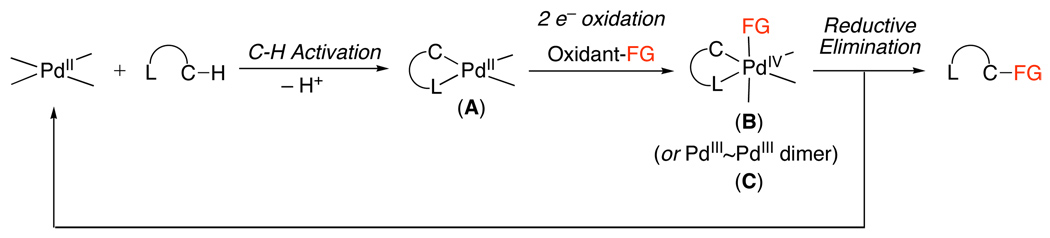 Scheme 4