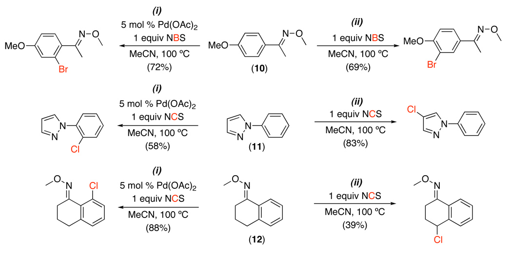 Scheme 15