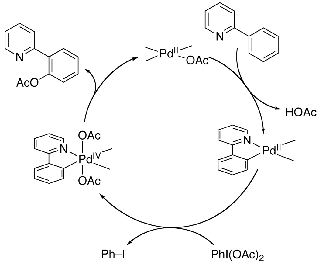 Scheme 7