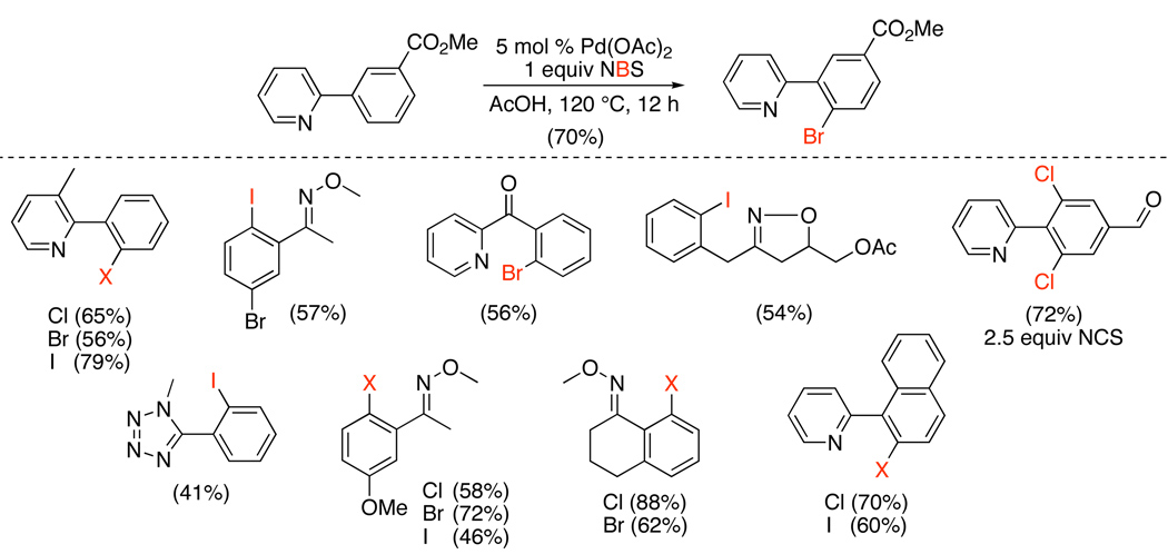 Scheme 14