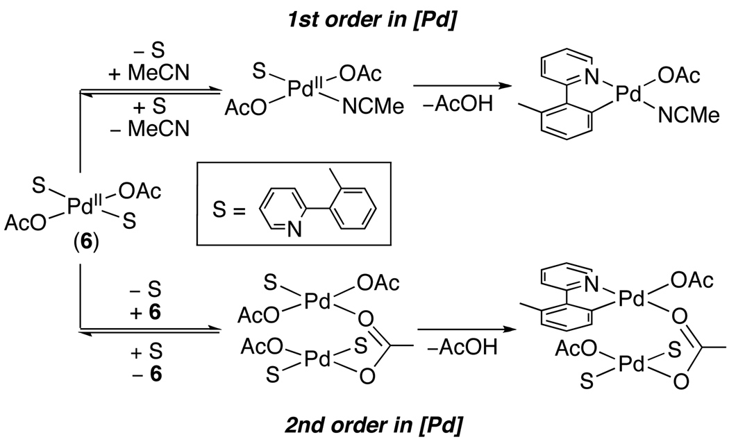 Scheme 8