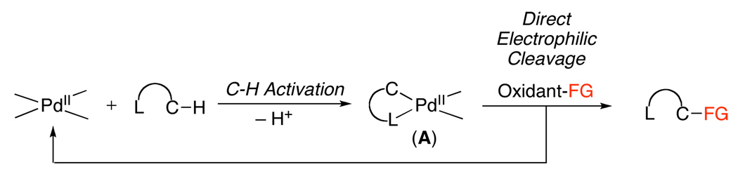 Scheme 2