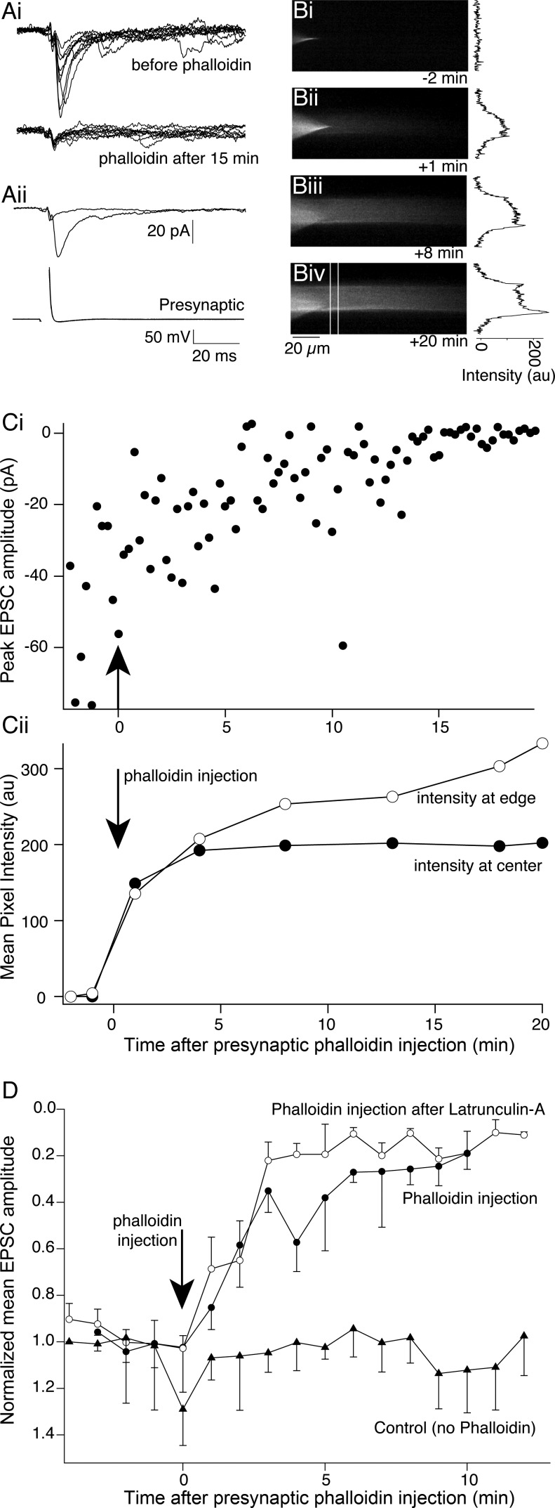 Fig. 9.