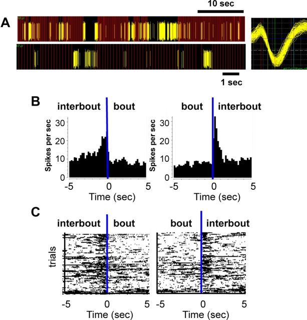 Figure 13.