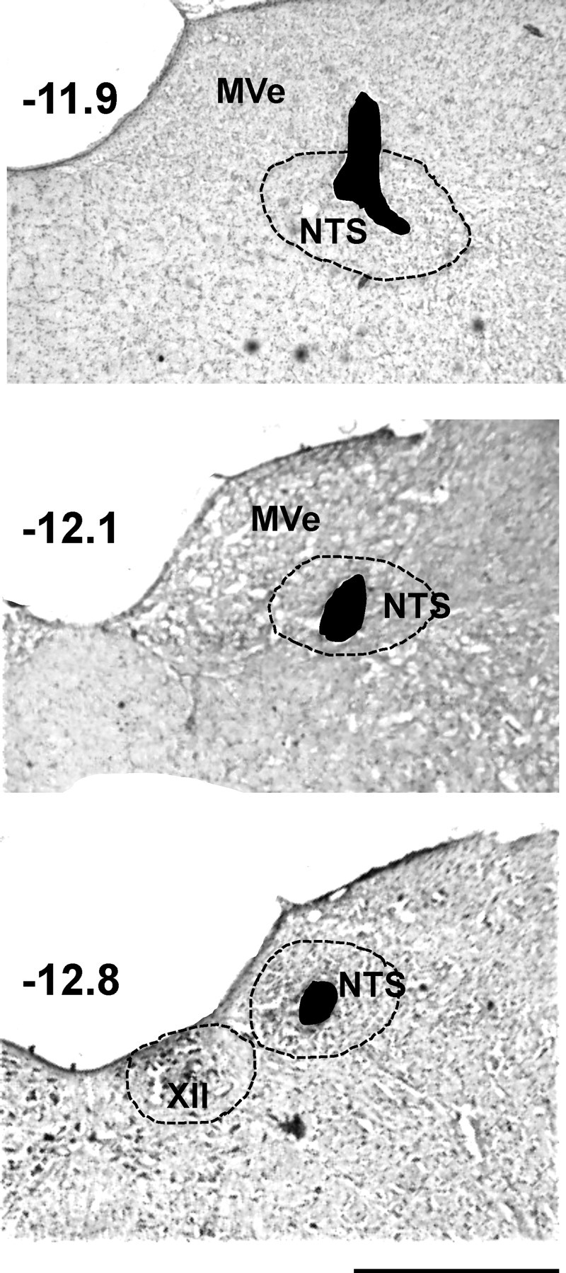 Figure 14.