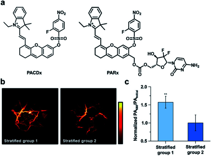 Fig. 15