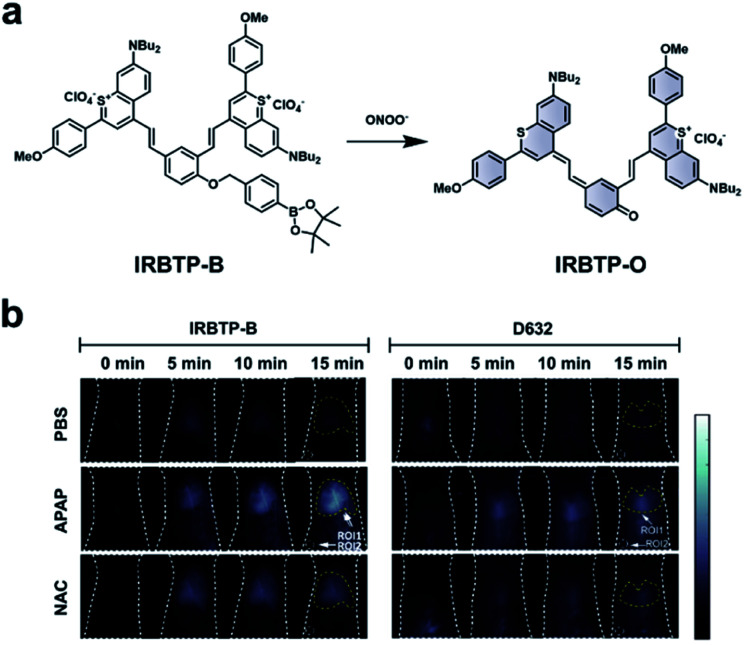 Fig. 11