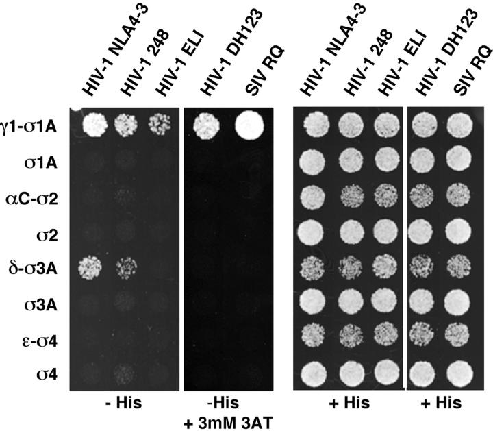 Figure 3.