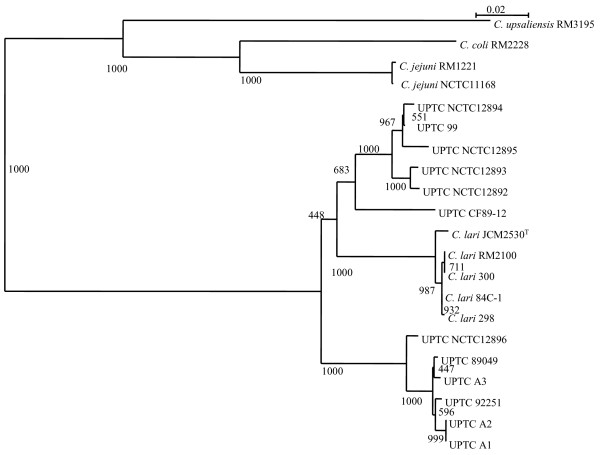 Figure 5