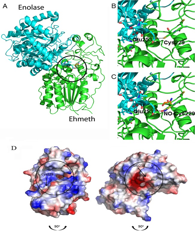 FIG 4