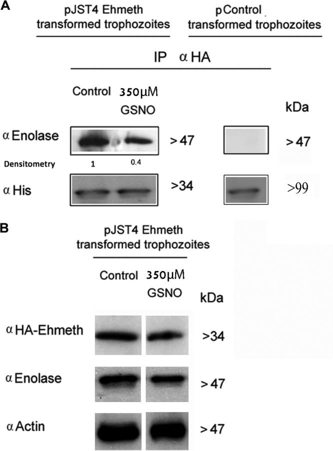 FIG 3