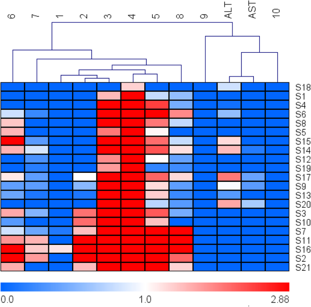 Figure 6