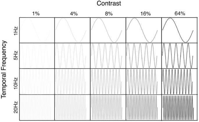 Fig. 4