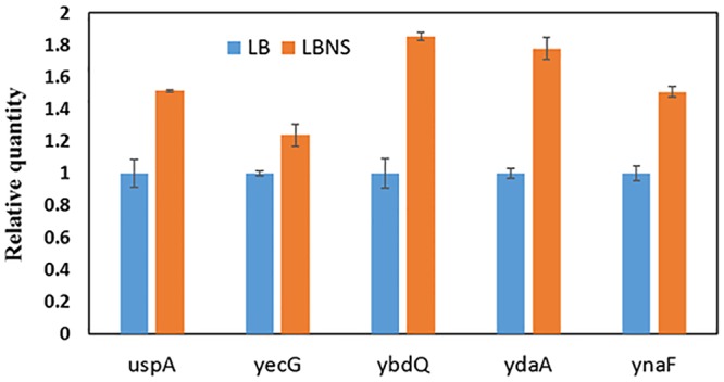 Figure 6