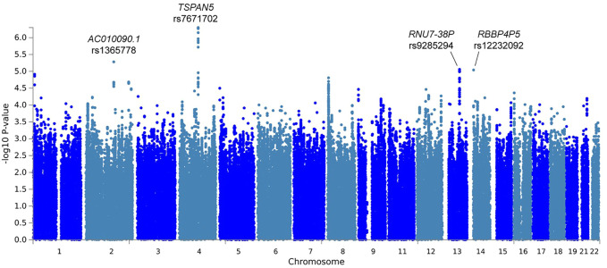 FIGURE 2