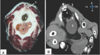 Fig. 3.