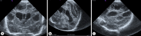 Fig. 5.