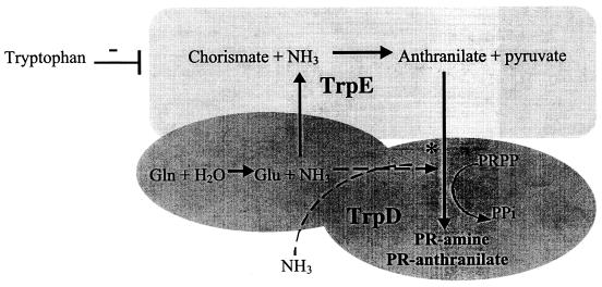 FIG. 5.