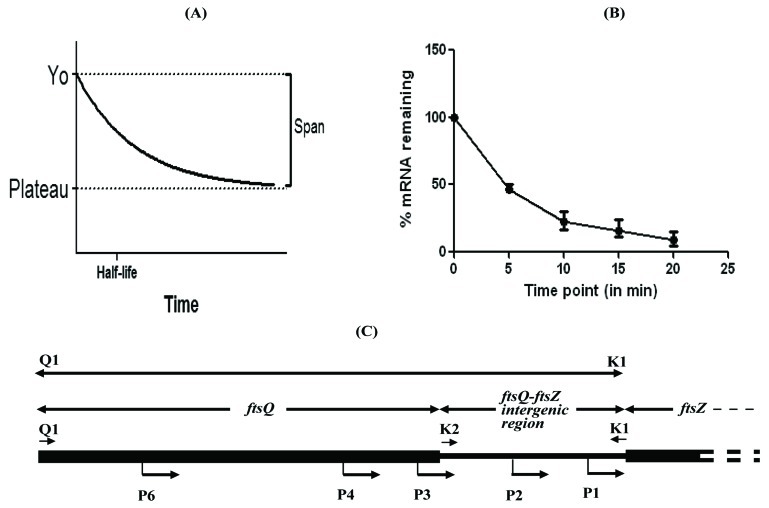 Fig. (1)