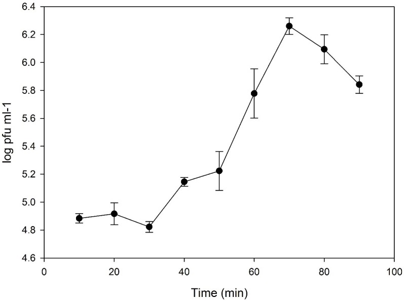 Fig 2