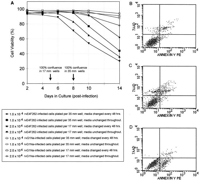 FIG. 6