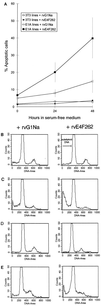 FIG. 7