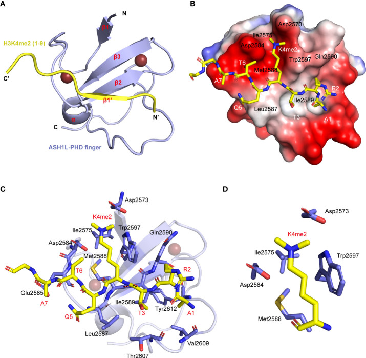 Figure 2