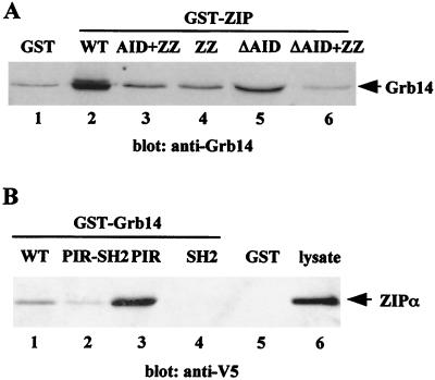 FIG. 4.