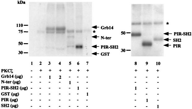 FIG. 5.