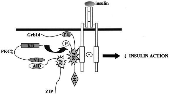 FIG. 12.