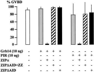 FIG. 10.