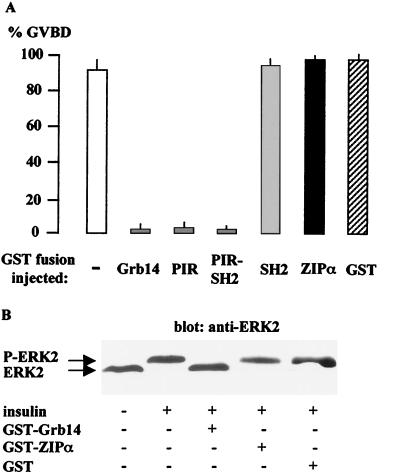 FIG. 8.