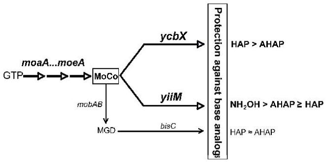 Fig. 9