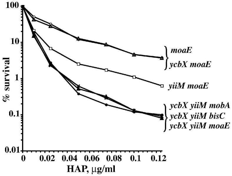 Fig. 5