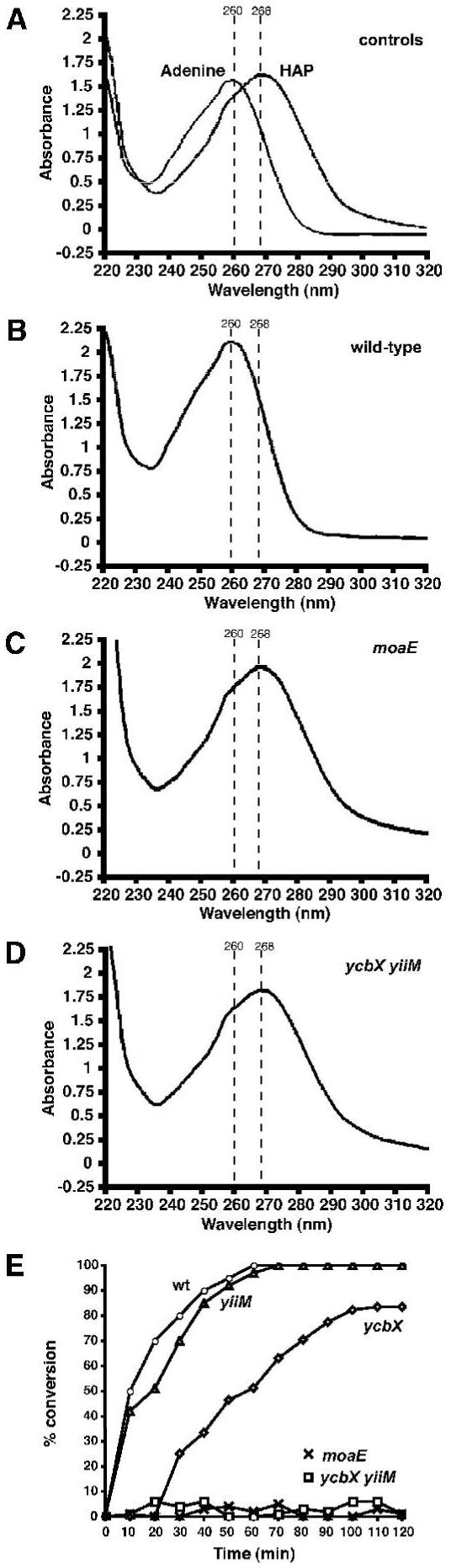 Fig. 10