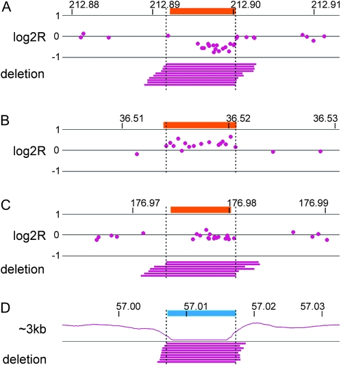 Figure 2.—