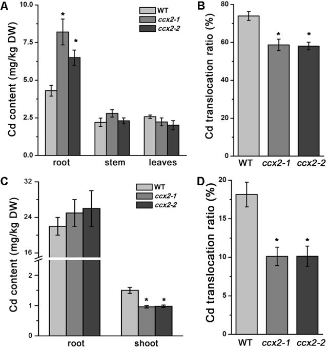 FIGURE 4