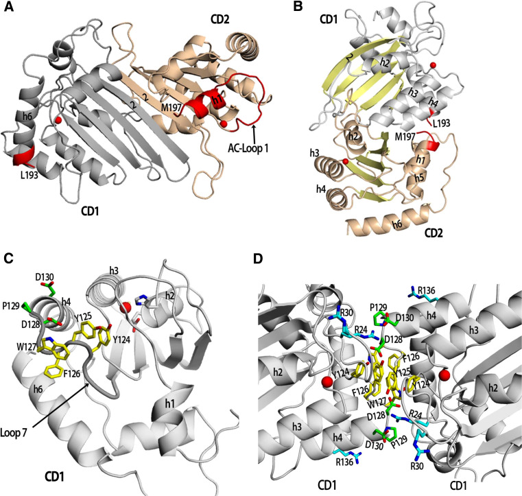 Fig. 3