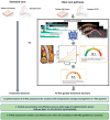 Graphical Abstract