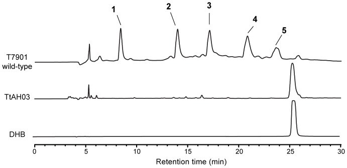 Figure 5