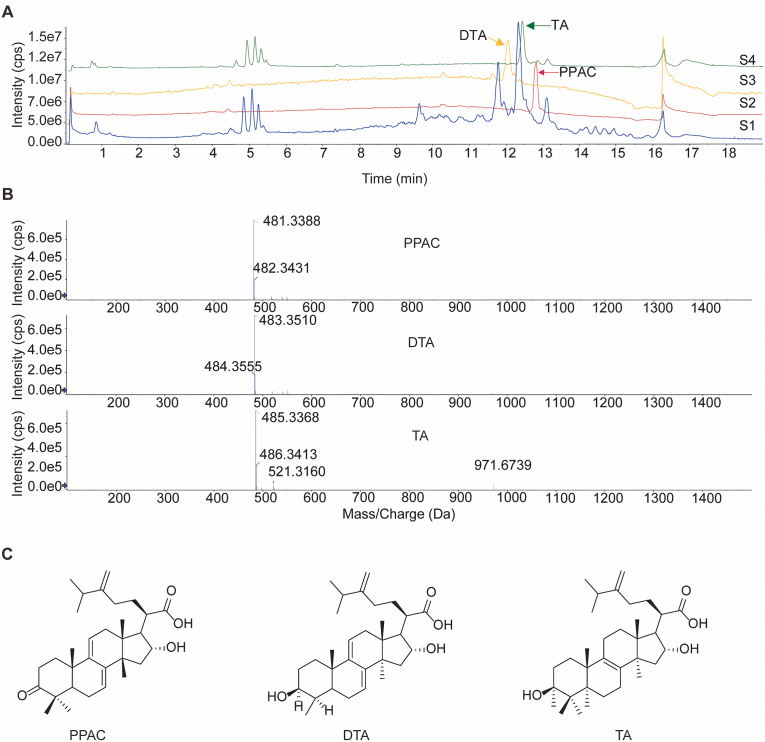 Figure 2