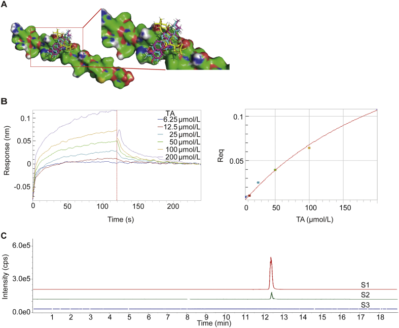 Figure 7