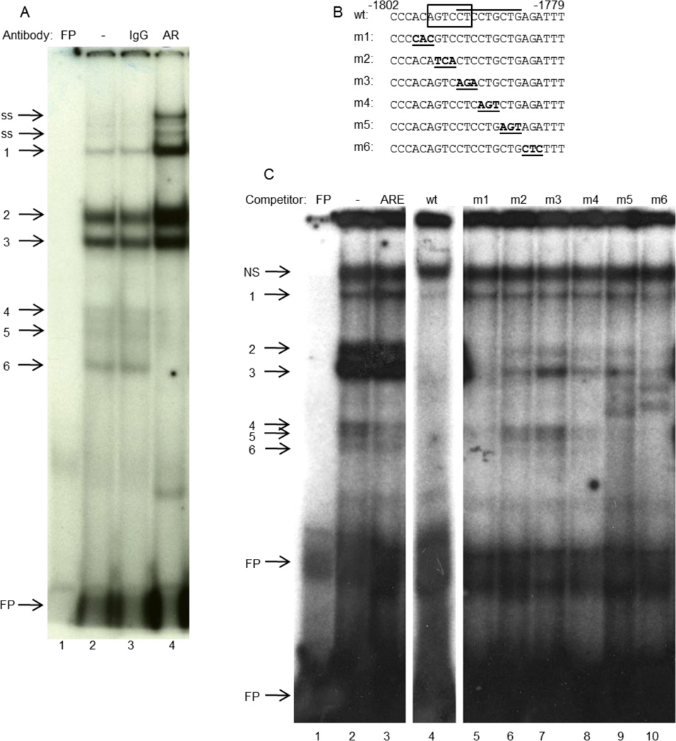 Fig. 5