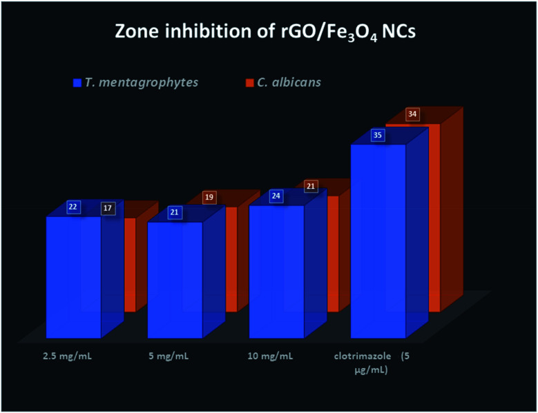 Fig. 14